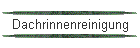 Dachrinnenreinigung